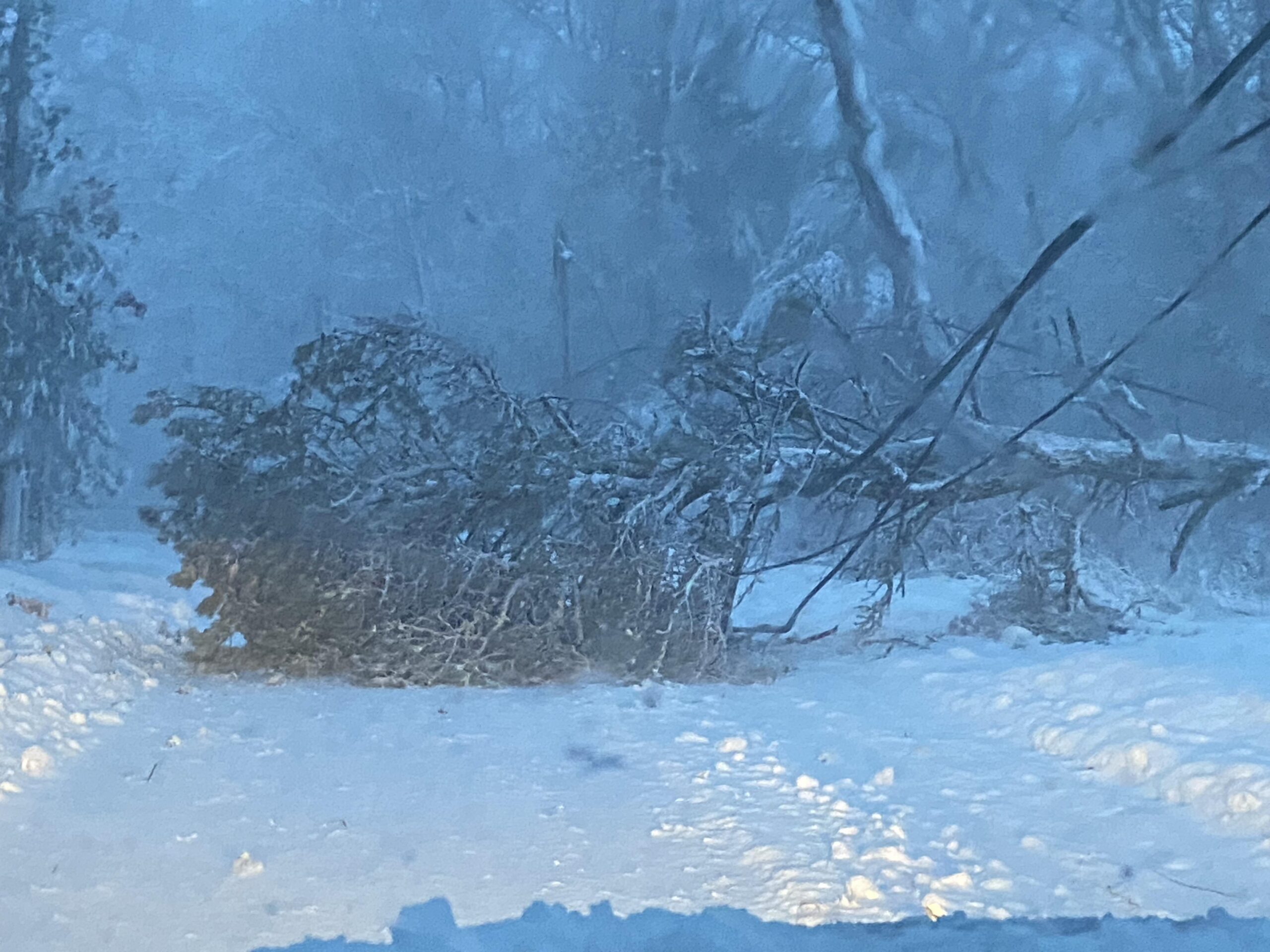 No Snow Days From Daily Mass