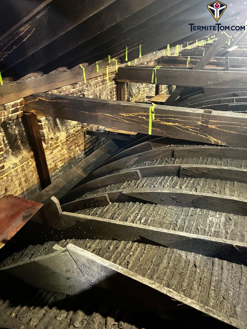 Archdiocese of Mobile Awarded $25 Million Over Termite Damage at Cathedral