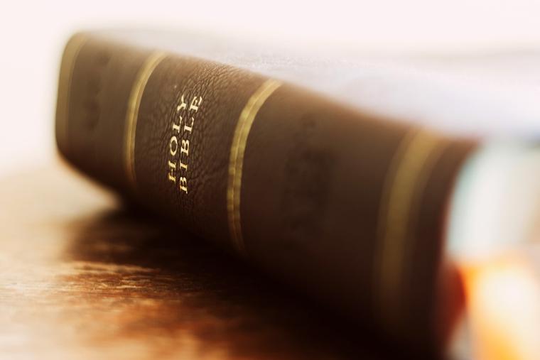 ‘A Cathedral in Print’: The Rise of the Catholic Premium Bible