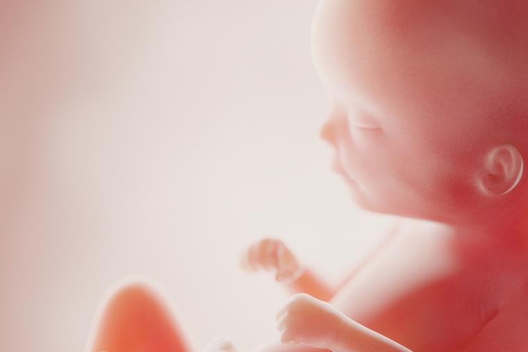 Day of the Unborn Child Celebrated Today