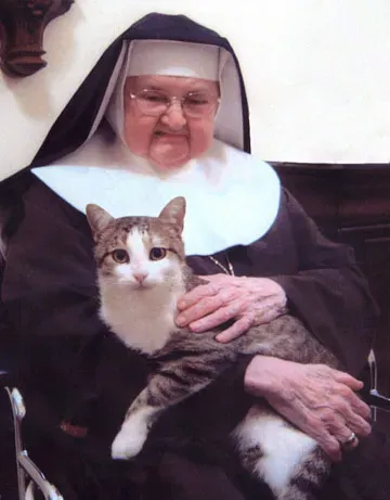 Mother Angelica’s Cat Missed Her Deeply After She Died — The Funeral Story That Will Melt Your Heart