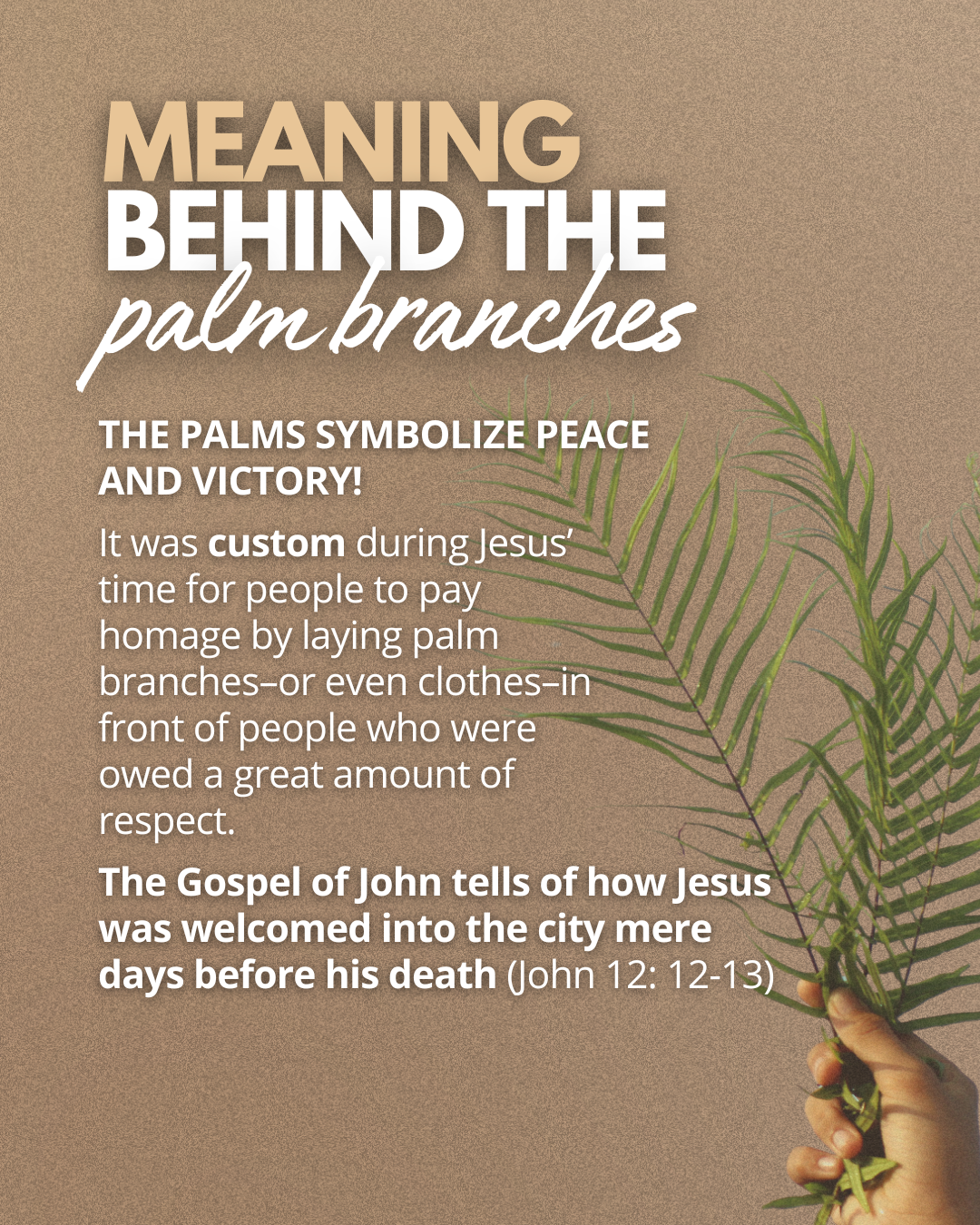 The Meaning of Palm Sunday: 5 Fascinating Facts Every Catholic Should Know