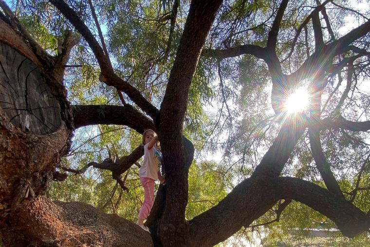 To See Christ Above the Crowd