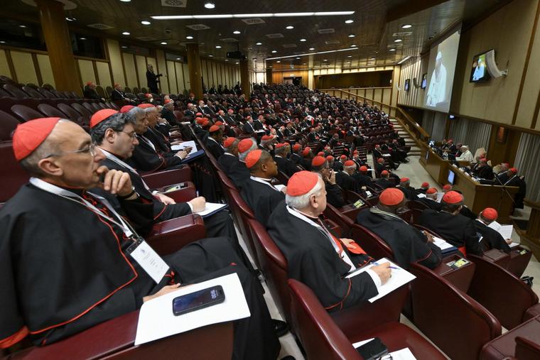 Pope Leo XIV Calls June Consistory of Cardinals, Says ‘Evangelii Gaudium’ Must Be Relaunched