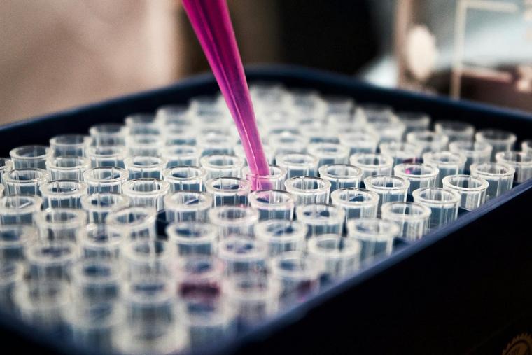 US Bishops Urge Congress to Reject IVF Mandate, Citing Harm to Embryos and Conscience Rights