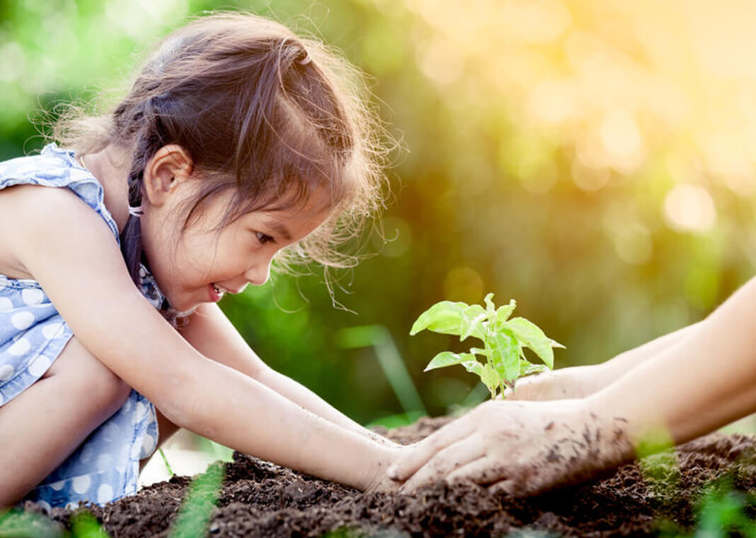 Patient Trust and Trees