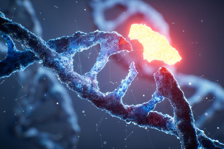 ‘Base Editing’ Embryos’ Takes a Further Unethical Step