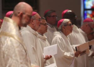 With focus on Sacred Heart, bishops make moves to strengthen Church’s mission at spring assembly