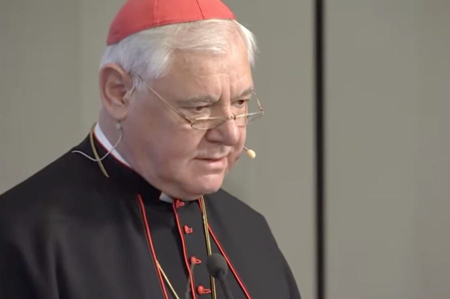 Cardinal calls for Vatican commission for SSPX defectors