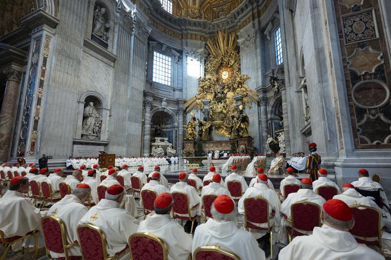 Too Short, Too Structured? Cardinals Reflect on Synodal Consistory