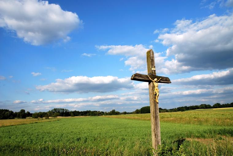Be Rooted in God’s Word to Reap a Good Harvest