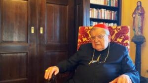 Cardinal Burke: ‘Synodality has to be stopped’