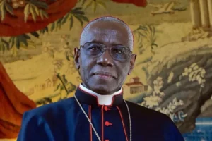 Cardinal Sarah: Pope Leo’s generosity towards the Traditional Latin Mass ‘must apply to all bishops’