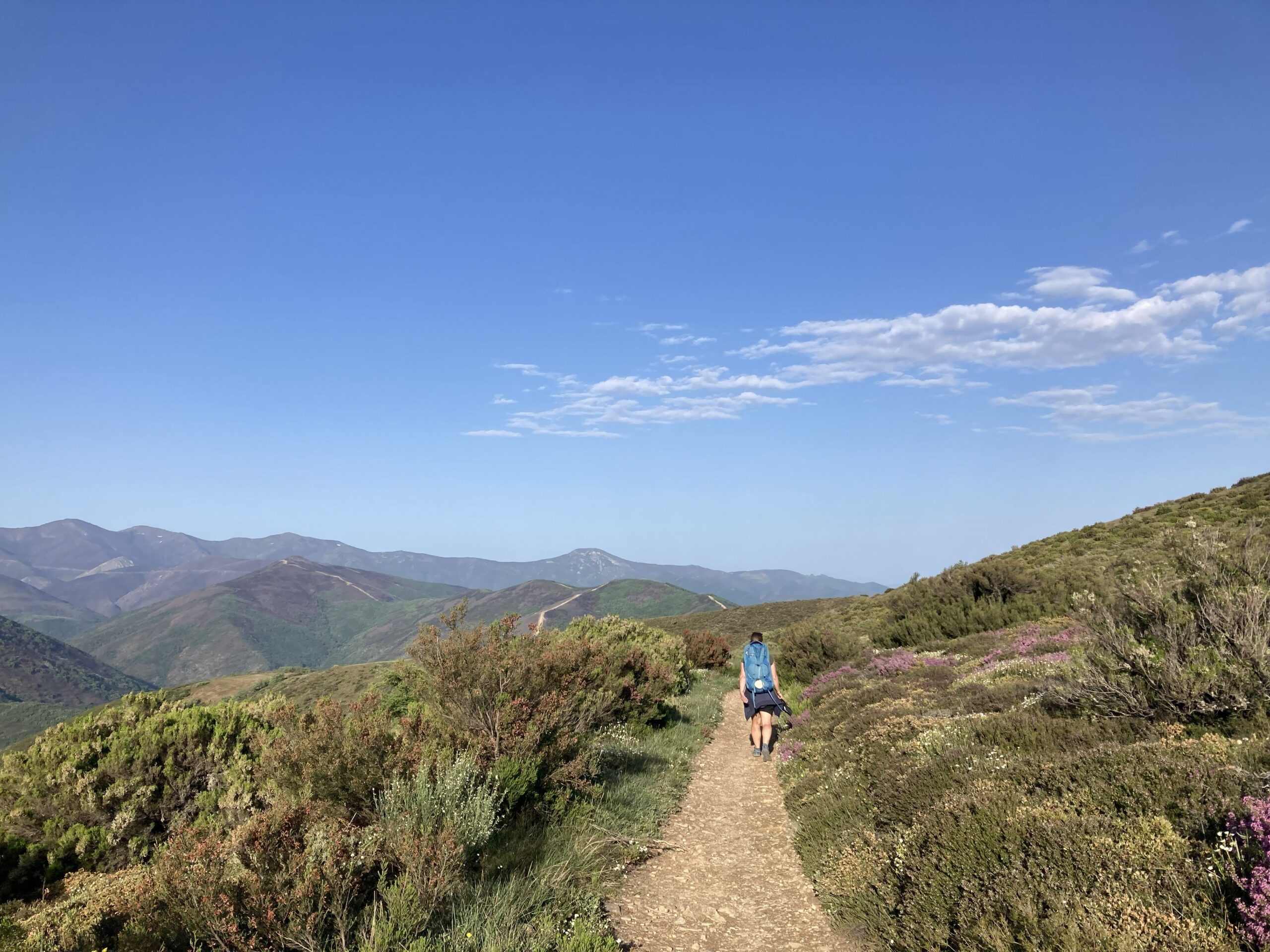 ‘On the Camino, I Gave My Life to Christ’: Amid the Crowds, the Way of St. James Still Offers Unexpected Encounters