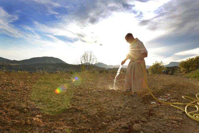 Why Do Monks and Nuns Live Longer? New 30-Year Study Offers Clues to Healthy Aging
