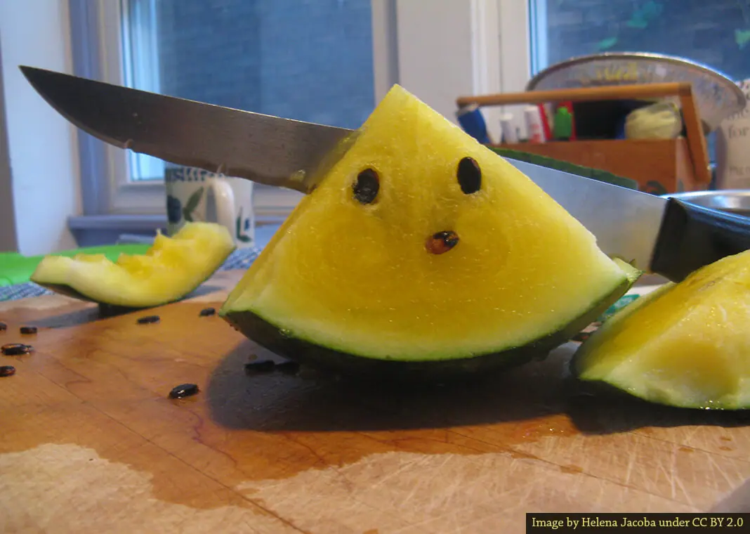 The Joy of a Yellow Watermelon