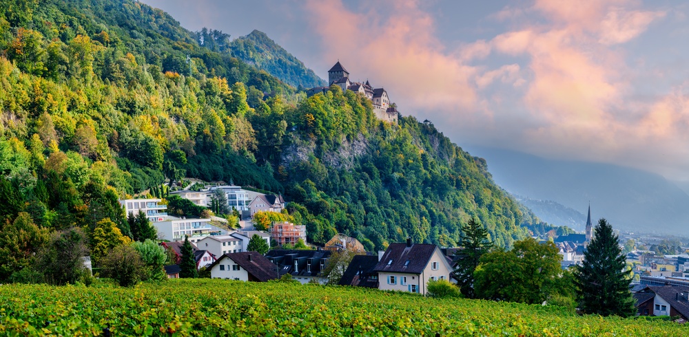 Liechtenstein Parliament Backs Abortion Initiative, but Prince Has the Last Word