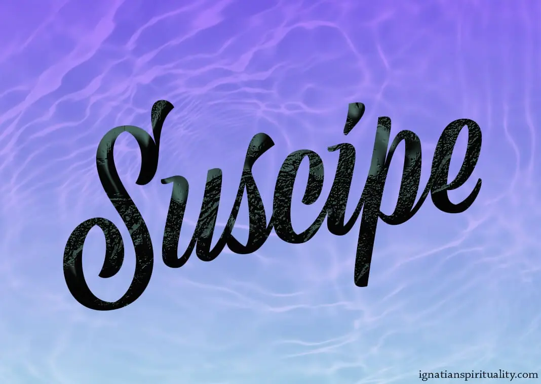 The Suscipe in a Time of Illness