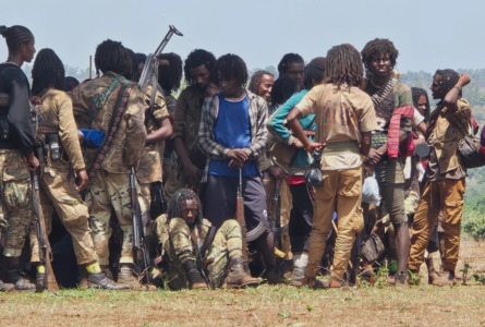 Pope Leo calls for dialogue to solve the Tigray crisis in Ethiopia