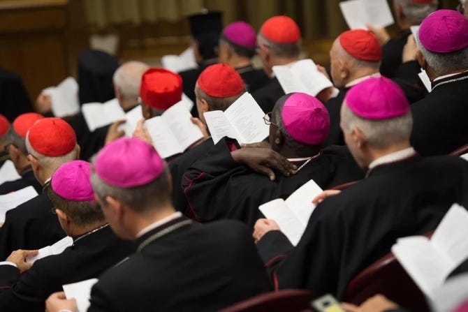 Leo and the synod’s canonical team