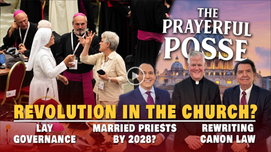 Revolution in the Church: Lay Governance, Synodality & Leo in France
