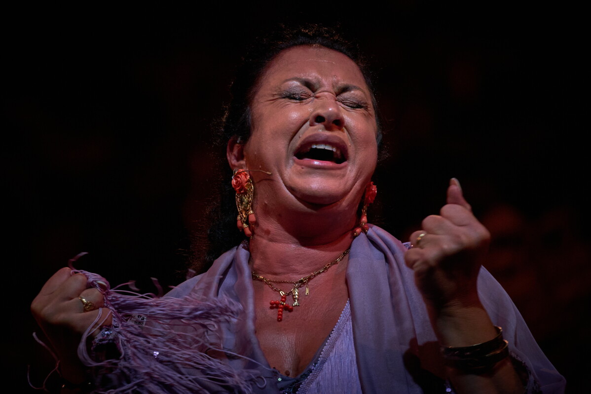 Pope Leo said the music has a ‘creative spirit’: Flamenco’s heart-wrenching wail captured in images