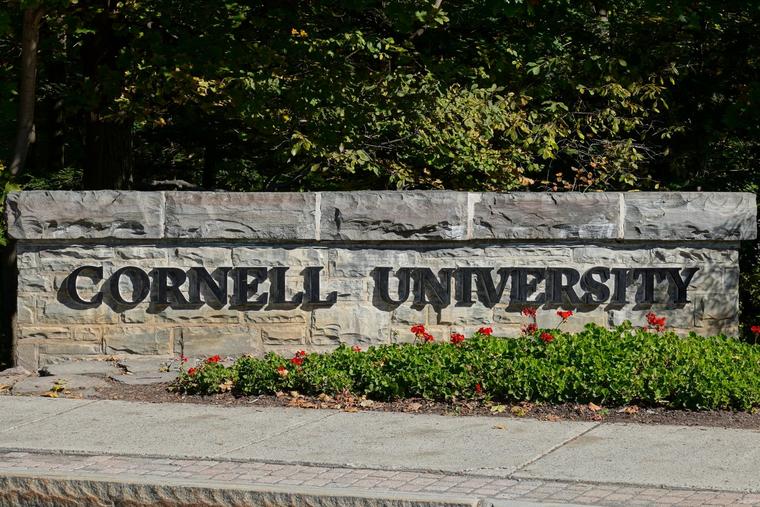 Cornell Catholic Community Issues Letter After Campus Protests