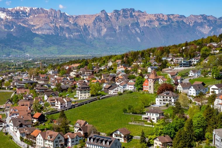 Liechtenstein’s Prince Vetoes Bill to Legalize Abortion Up to 12 Weeks